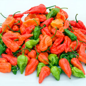 নাগা মরিচ 1 প্যাকেট 450 Tk