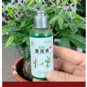 1 বোতল 1299TK