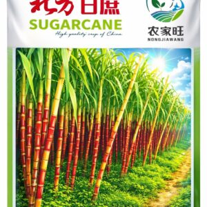 ১ প্যাকেট লাল আখ বীজ ৯৯৯ টাকা