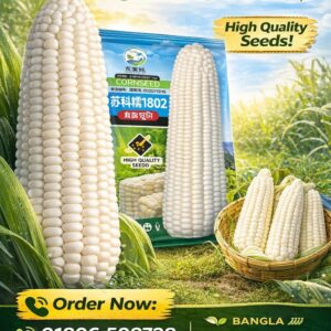 1 প্যাকেট সাদা ভুট্টা বীজ 1000 Tk